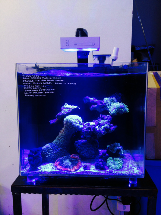 Premier Pets Nano Aquarium DD The Aquarium Solution